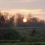 Les Cerisiers Sud-gironde Dans Le Sauternais Meuble De Tourisme 3 Etoiles Preignac