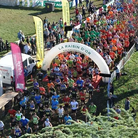 Feriehus Les Cerisiers Sud-gironde Dans Le Sauternais Meuble De Tourisme 3 Etoiles