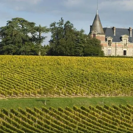 Les Cerisiers Sud-gironde Dans Le Sauternais Meuble De Tourisme 3 Etoiles * Preignac