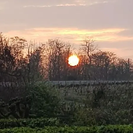 Les Cerisiers Sud-gironde Dans Le Sauternais Meuble De Tourisme 3 Etoiles Preignac
