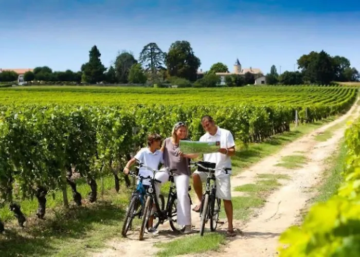 Les Cerisiers Sud-gironde Dans Le Sauternais Meuble De Tourisme 3 Etoiles Casa de Férias *